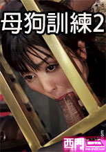 母狗訓練2