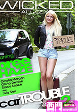 CAR TROUBLE 2