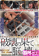 破壊の果て脳を壊す