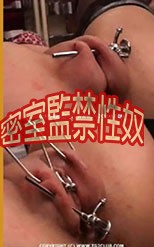 密室監禁性奴 144