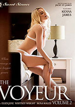 THE VOYEUR VOL 2