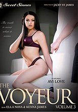 The Voyeur 3