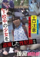 下校中の少女を盗撮した性犯罪映像