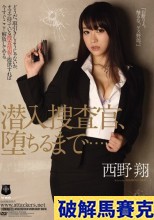 破解馬賽克 潜入捜査官、堕ちるまで… 西野翔