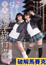 破解無碼  どうせ陰キャなお前ら修学旅行くそだったんだろ？ 陽キャなうちらが最高の思い出作ってやんよ！一日中弄られパコられまくった大人の修学旅行in東京 石原希望 葵いぶき