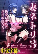 妻ネトリ3 ～快楽に堕ちた淫汁教師たち