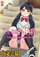 1LDK＋J系