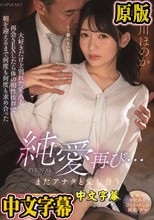 純愛再び…またアナタと愛し合う 大好きだけど別れた愛人と再会SEXしたら体の相性抜群で朝を迎えるまで何度も何度も求め合った 古川ほのか