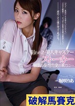 狙われた美人キャスター ストーカー 狂気の妄想恋愛の果てに… 堀咲りあ