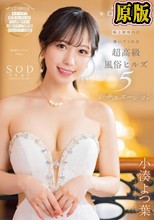 芸能人が5つ星のおもてなしで極上射精へと導いてくれる超高級風俗ヒルズ5シチュエーション 小湊よつ葉