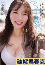 長期出張で離れ離れになるエッチ大好き彼女と誓い合った3ヶ月の禁欲 待ち焦がれた再会直後のSEX中毒になるほど没入した人生で最高に気持ちよかった絶倫無双中出しSEX 小花のん