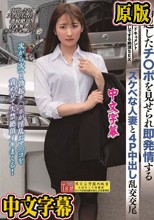 THE ドキュメント 本能丸出しでする絶頂SEX 勃起したチ〇ポを見せられ即発情するスケベな人妻と4P中出し乱交交尾 末広純