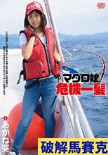 マグロ娘危機一髪 あかね葵