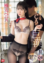 スレンダーな新人CAが巨漢クレーマーに犯●れ、心壊れ、肉オナホと化した後に… マ●コが極太ペニスに馴染んできてあり得ないほどイキまくった。 白上咲花
