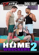 9 Home Wreckers 2