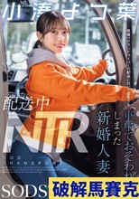 配送中NTR 既婚ベテ