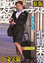 憧れのスチュワーデスと性交 北野未奈